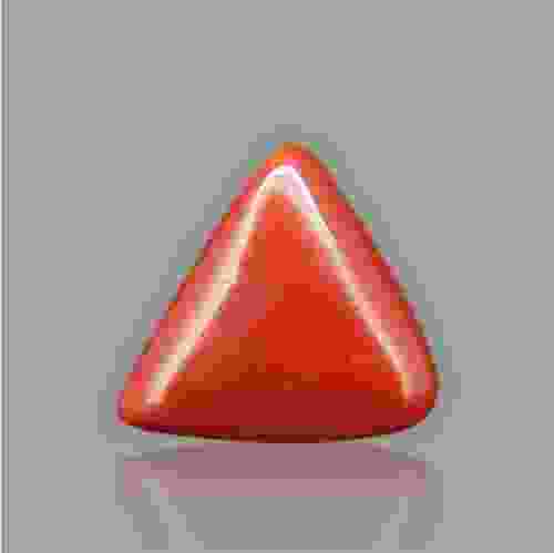 Red Coral - 6.59 Carat