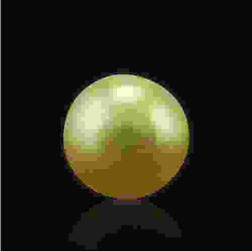 Golden South Sea Pearl - 5.84 Carat