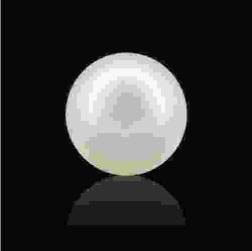 South Sea Pearl - 12.05 Carat