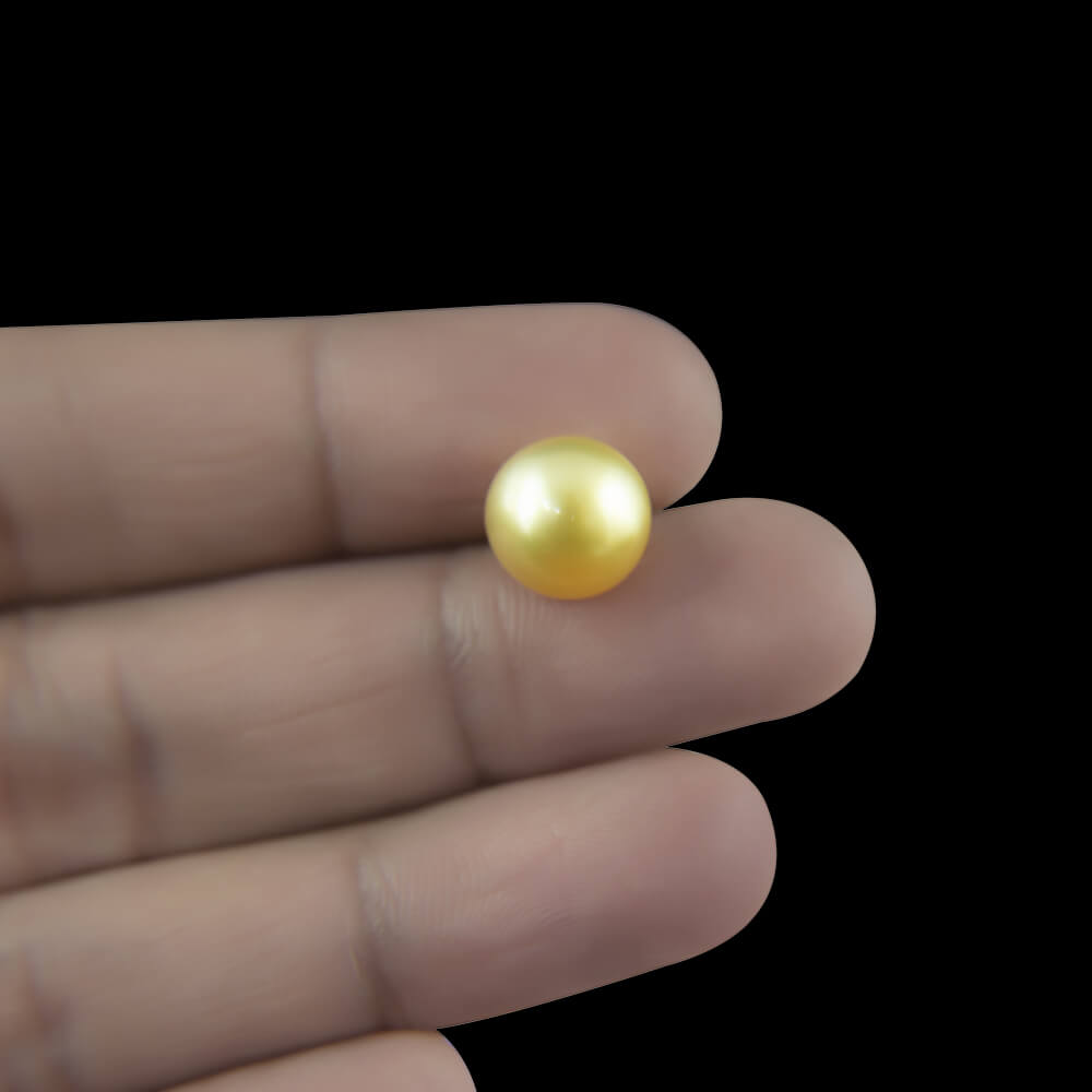 Golden South Sea Pearl - 4.91 Carat