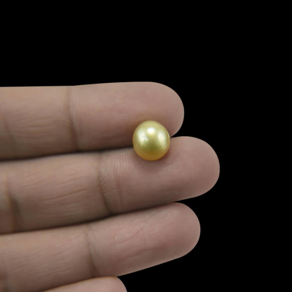 Golden South Sea Pearl - 6.96 Carat