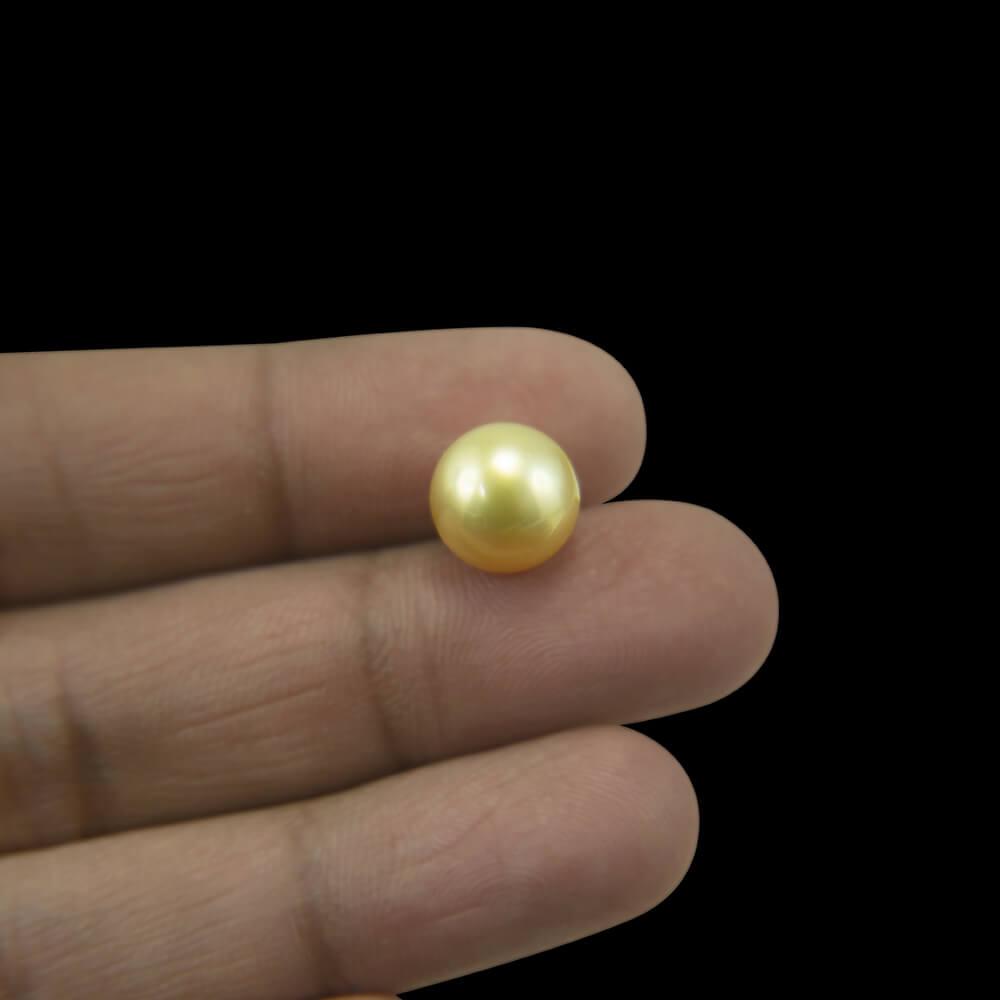 Golden South Sea Pearl - 5.16 Carat