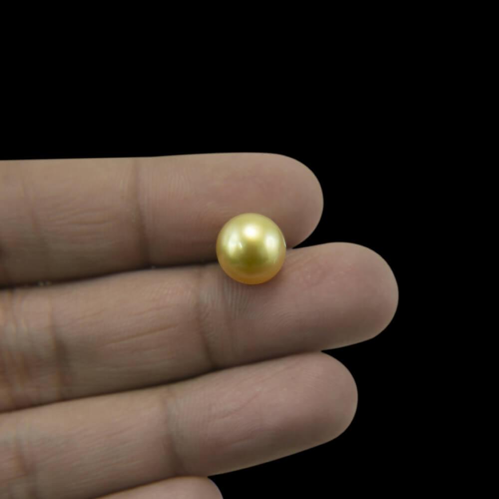Golden South Sea Pearl - 3.36 Carat