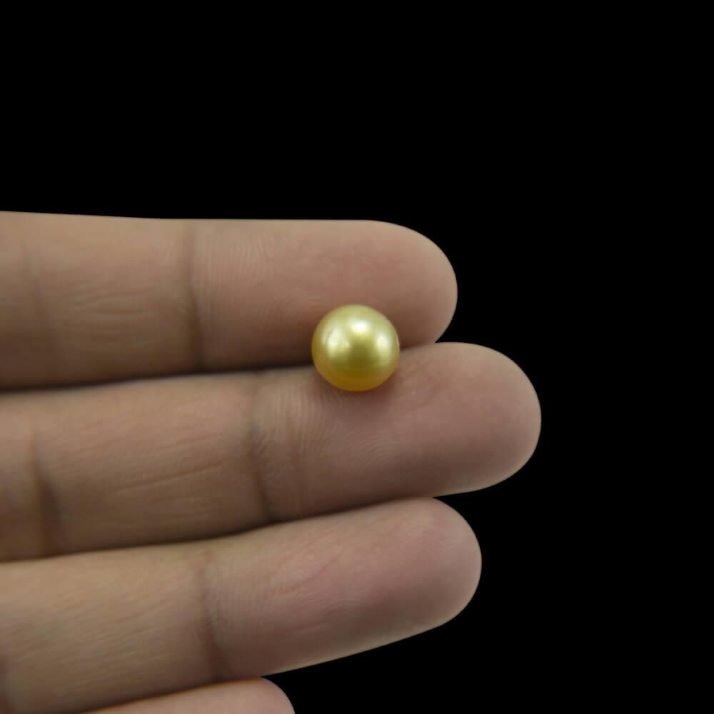 Golden South Sea Pearl - 4.31 Carat