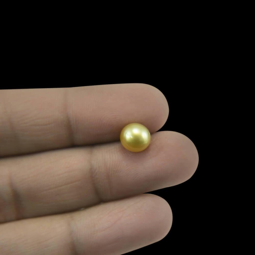 Golden South Sea Pearl - 3.39 Carat