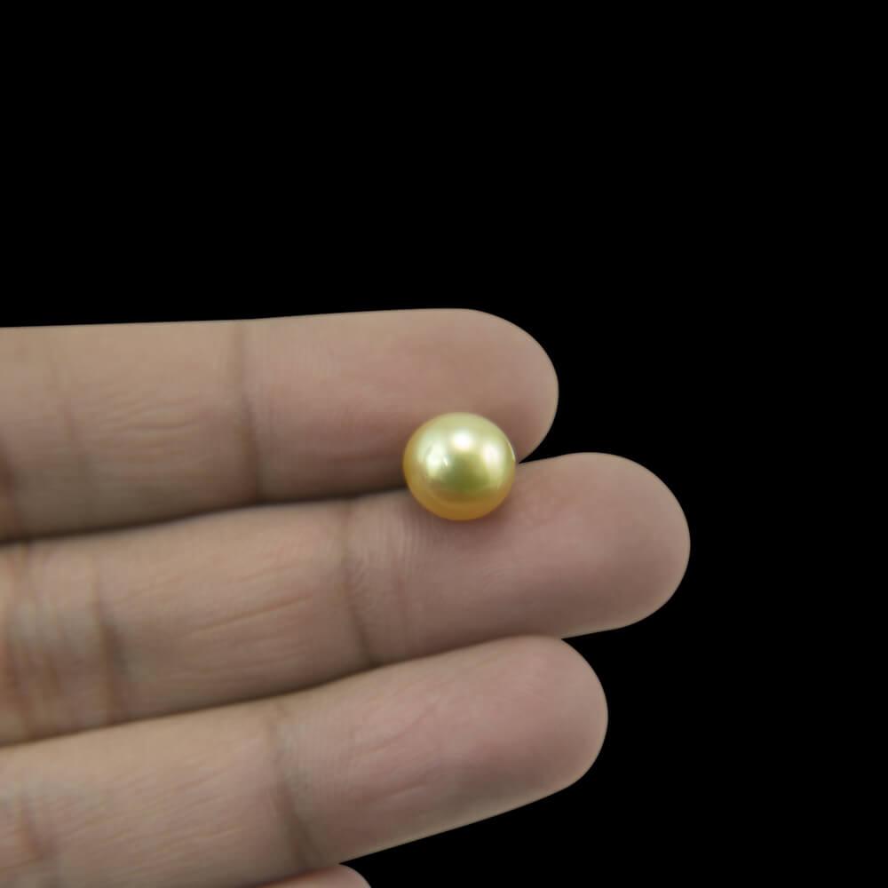 Golden South Sea Pearl - 4.21 Carat