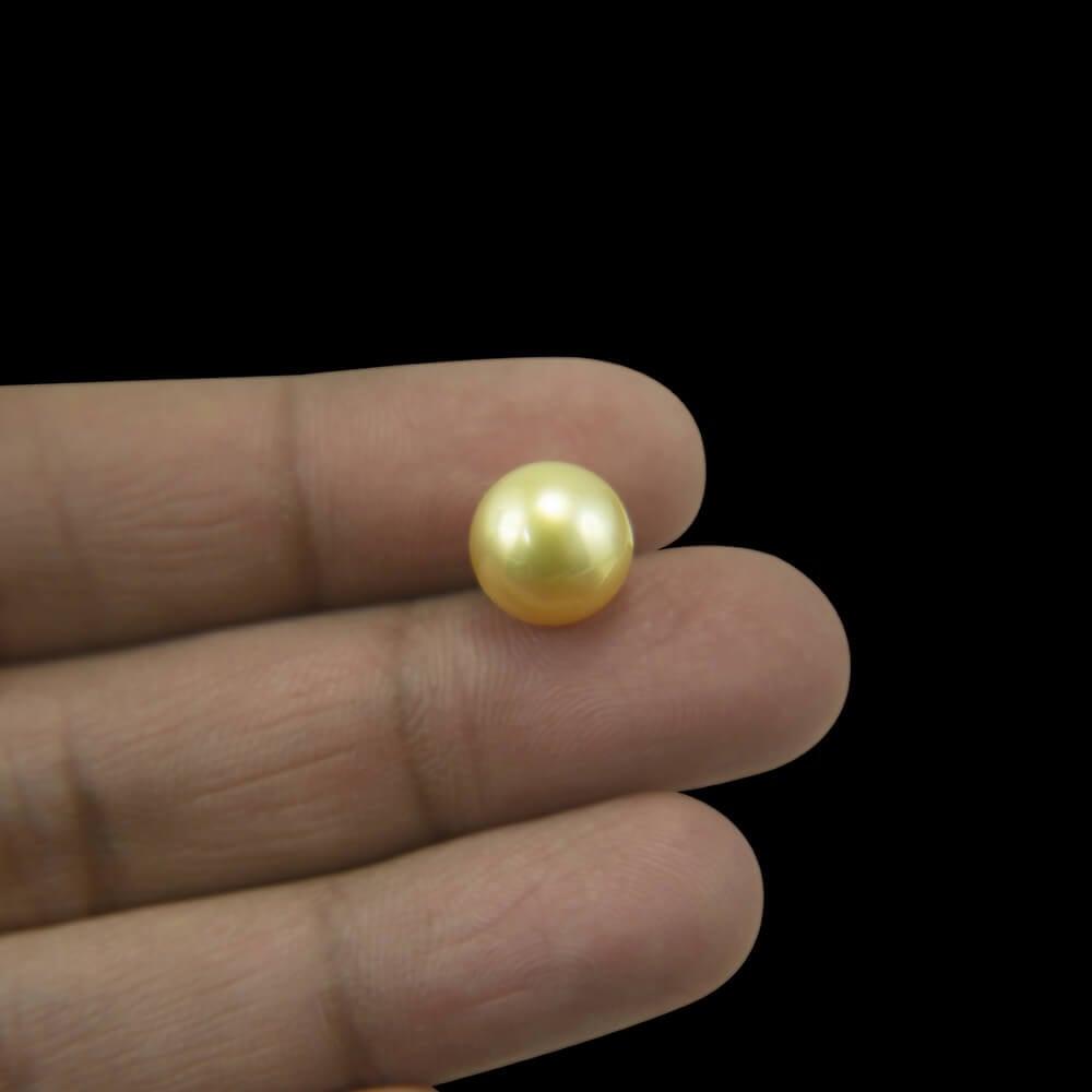 Golden South Sea Pearl - 4.30 Carat