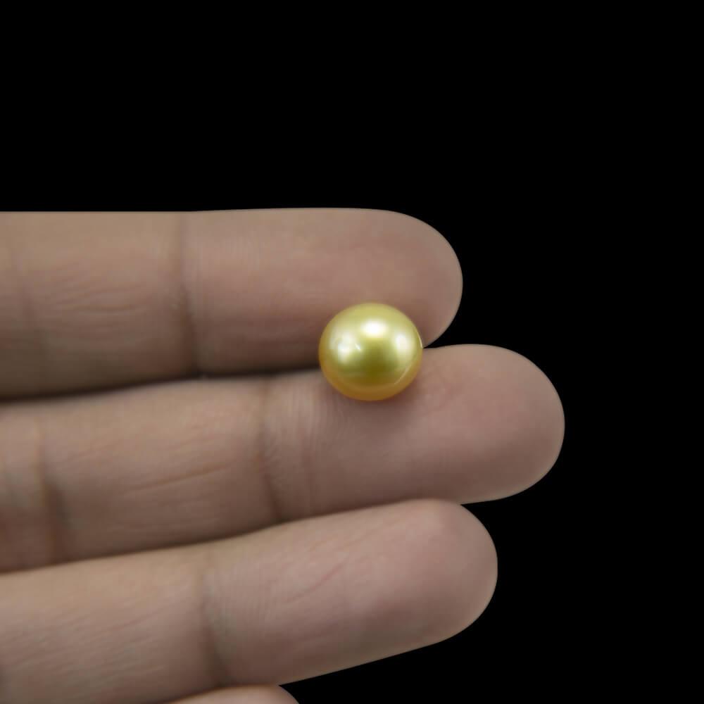 Golden South Sea Pearl - 4.84 Carat