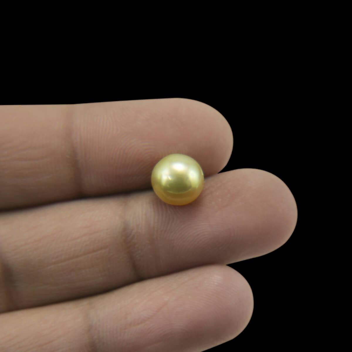 Golden South Sea Pearl - 5.66 Carat