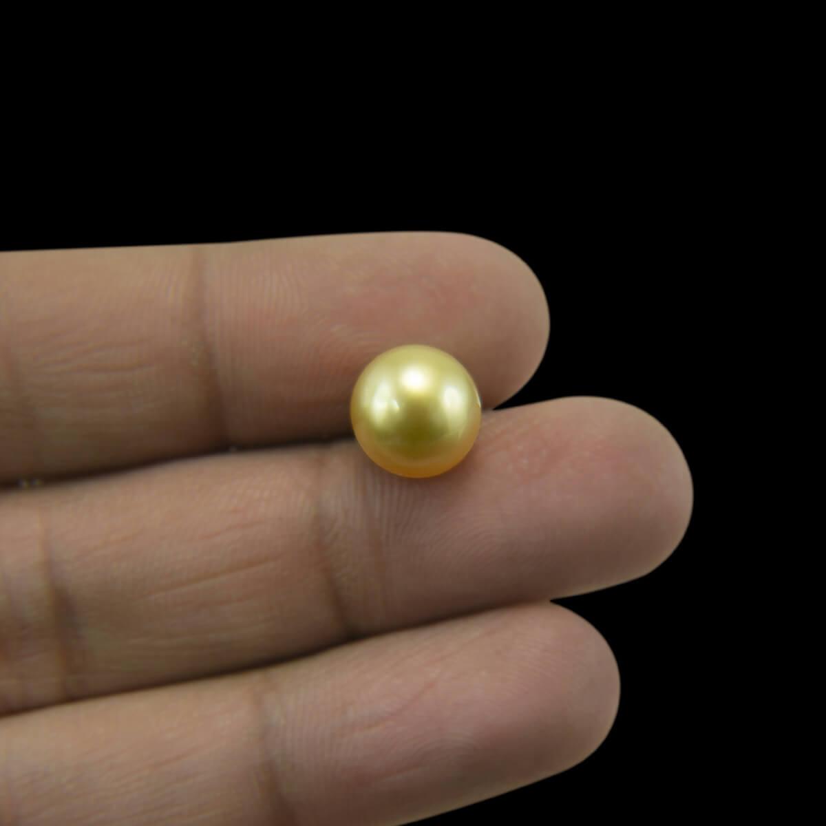 Golden South Sea Pearl - 4.91 Carat