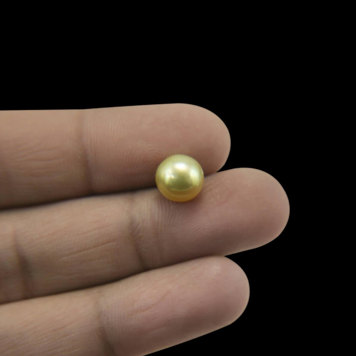 Golden South Sea Pearl - 5.84 Carat