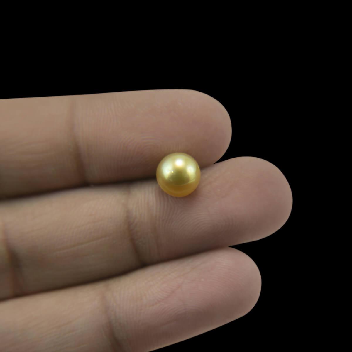 Golden South Sea Pearl - 4.09 Carat