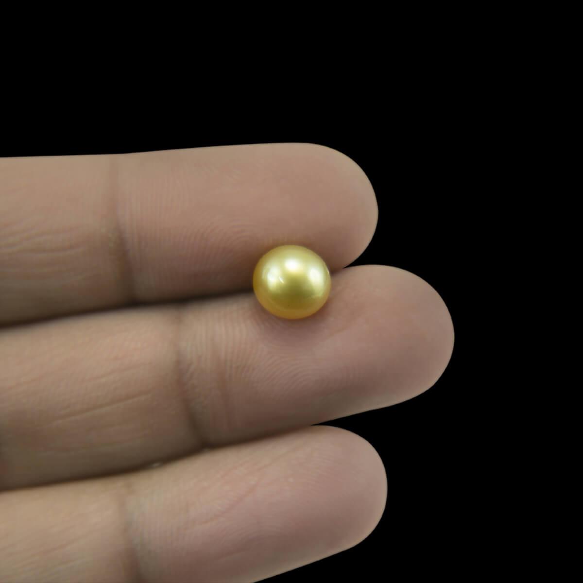 Golden South Sea Pearl - 4.94 Carat
