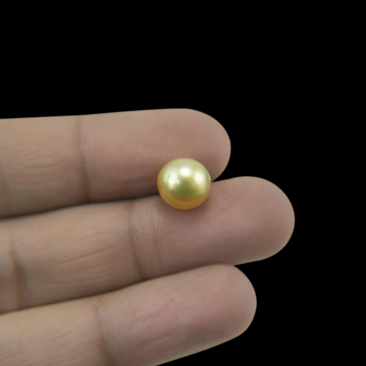 Golden South Sea Pearl - 6.04 Carat