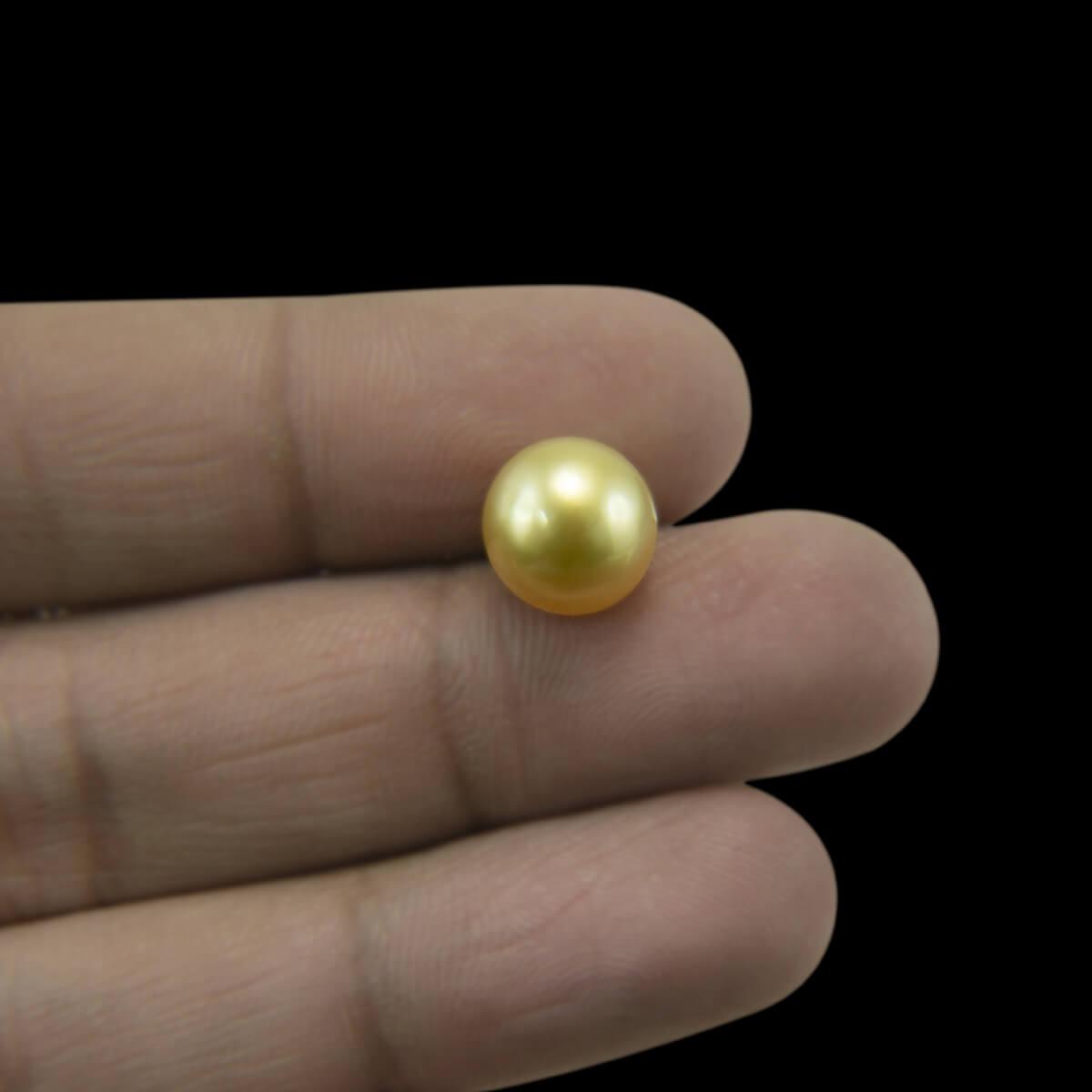 Golden South Sea Pearl - 5.17 Carat