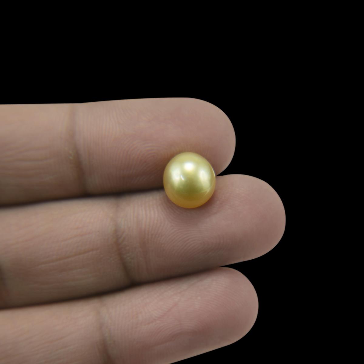 Golden South Sea Pearl - 9.58 Carat