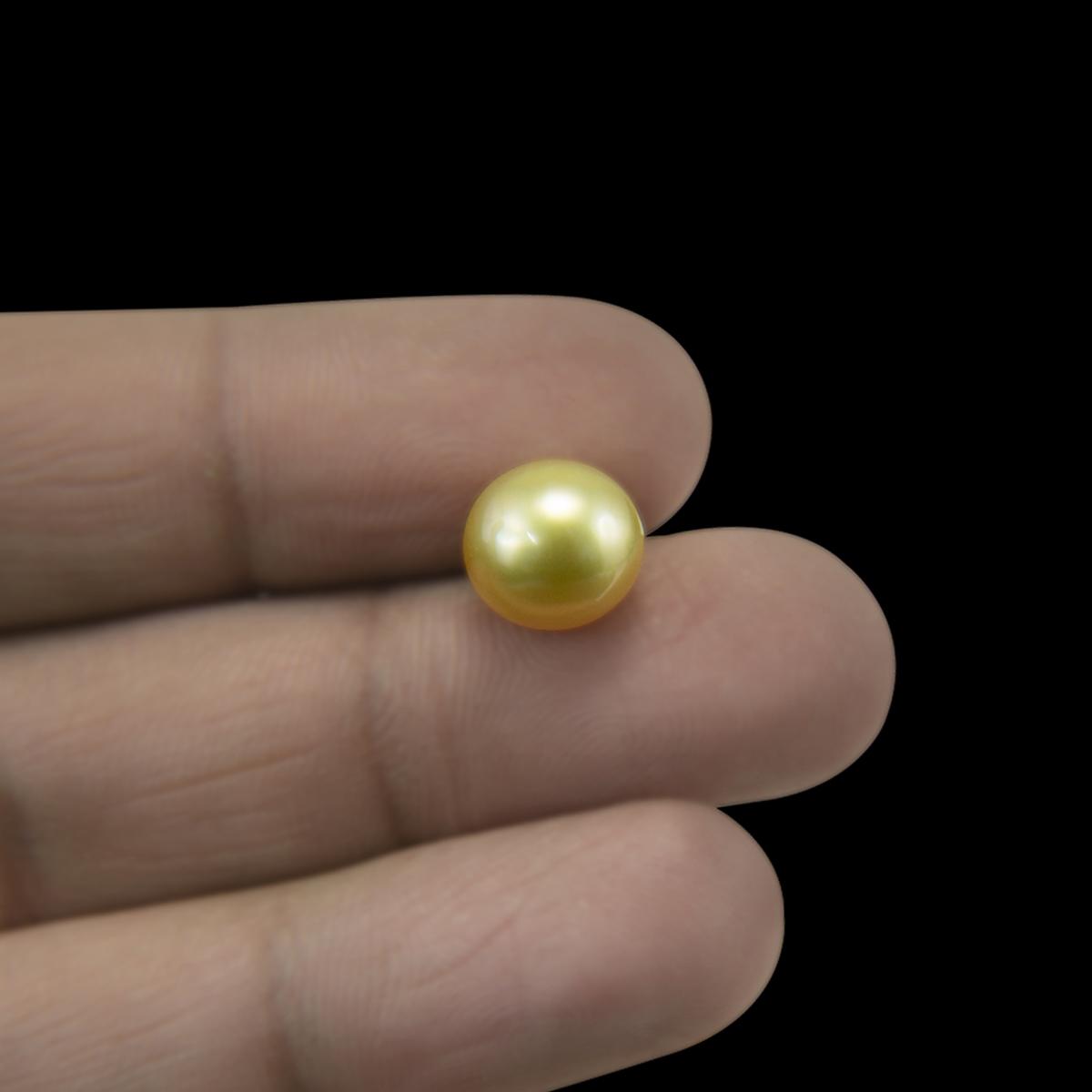 Golden South Sea Pearl - 5.92 Carat