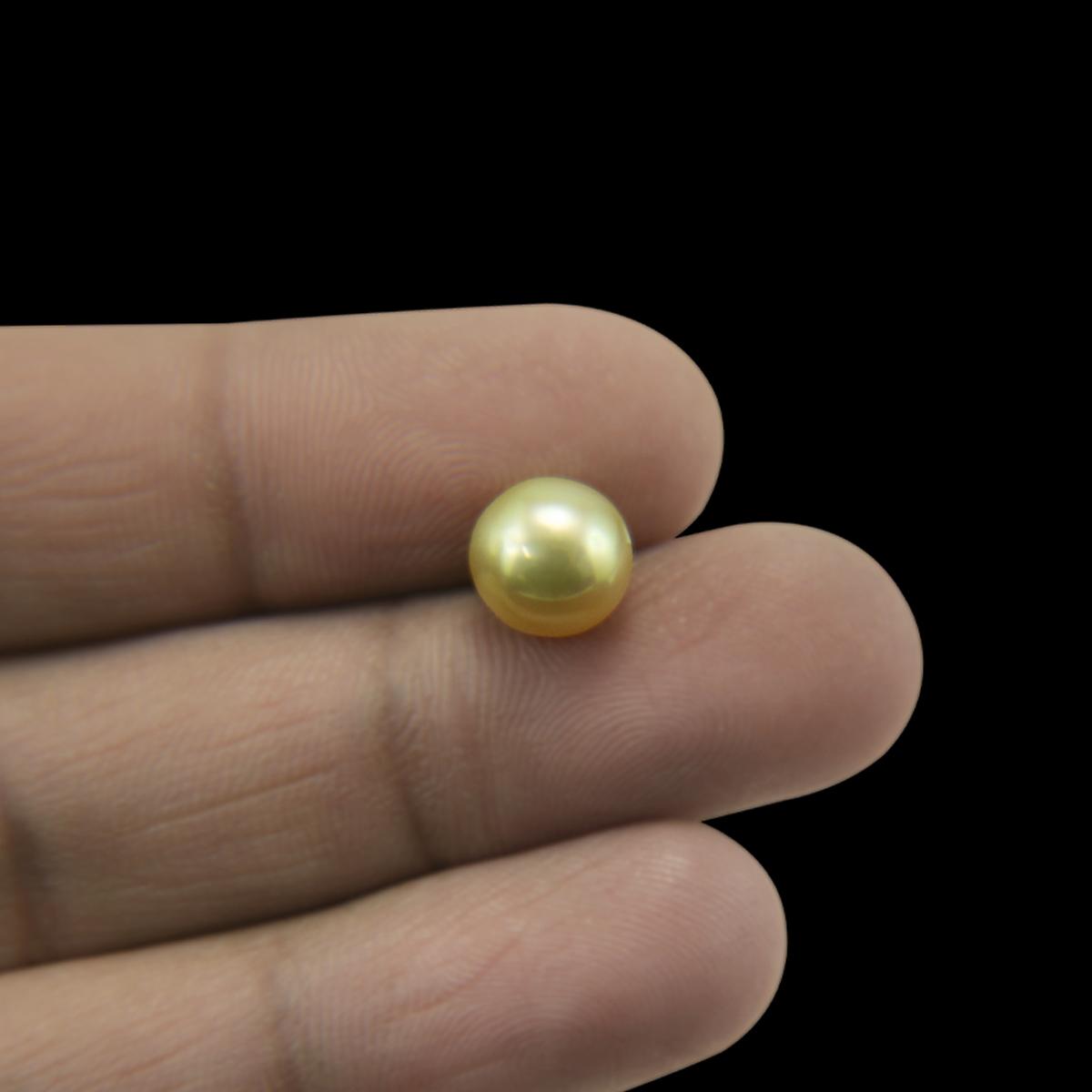 Golden South Sea Pearl - 2.64 Carat