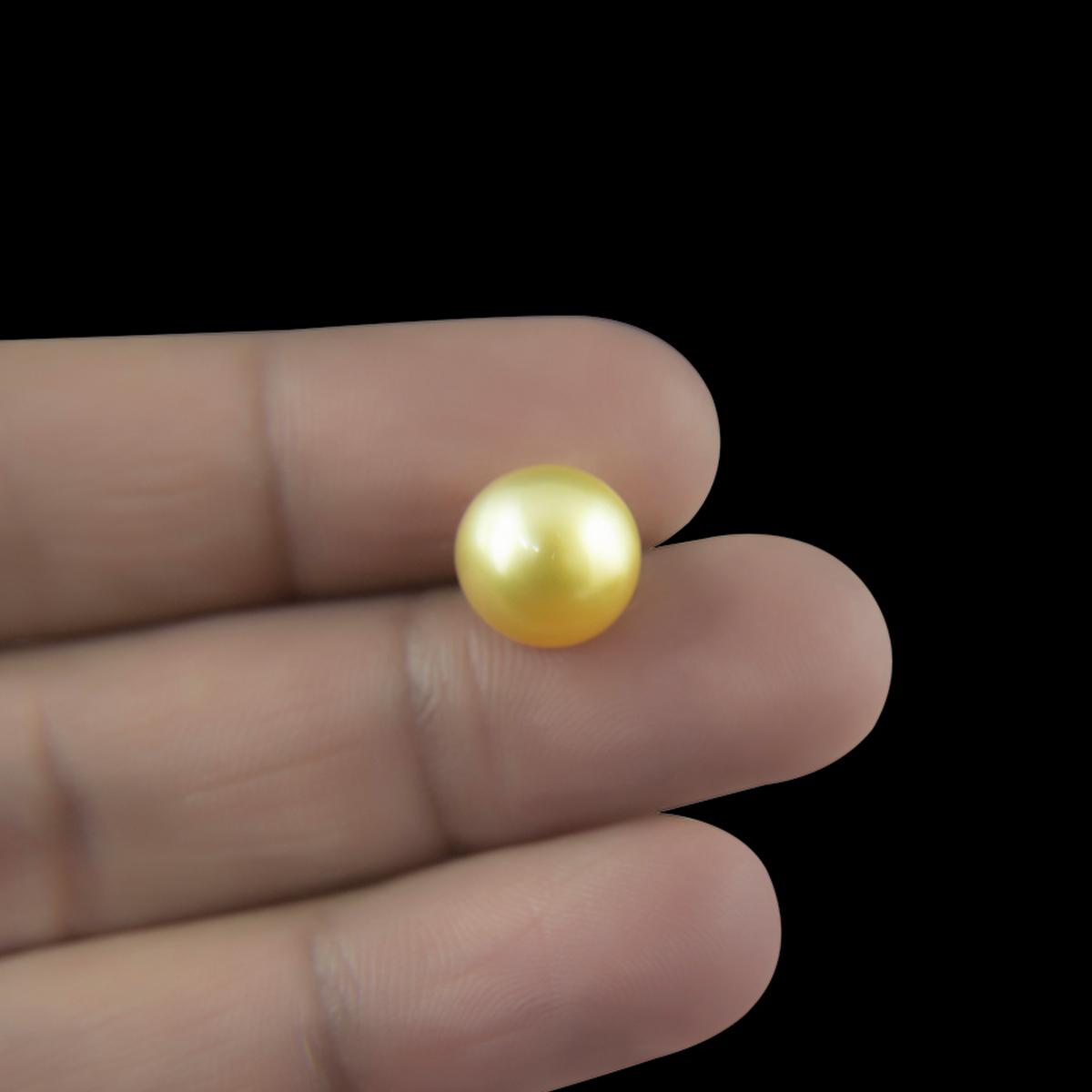 Golden South Sea Pearl - 5.66 Carat