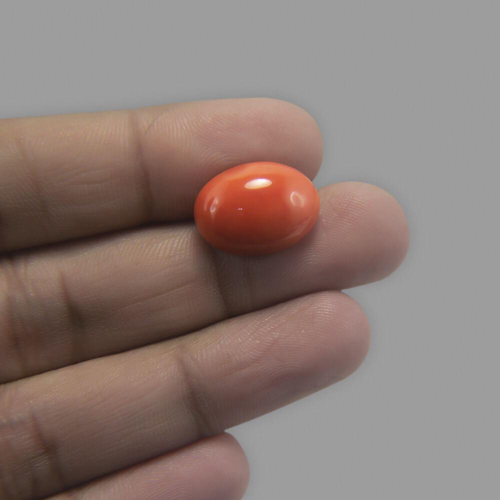 Red Coral - 10.80 Carat