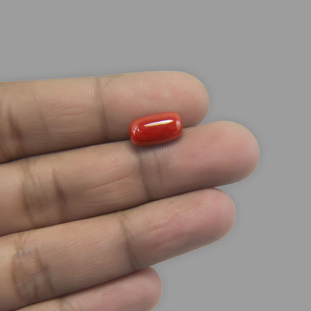 Red Coral - 5.72 Carat