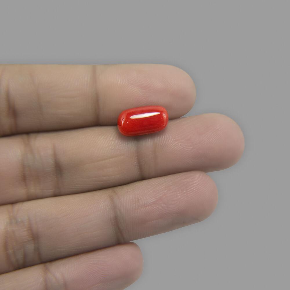Red Coral - 5.56 Carat