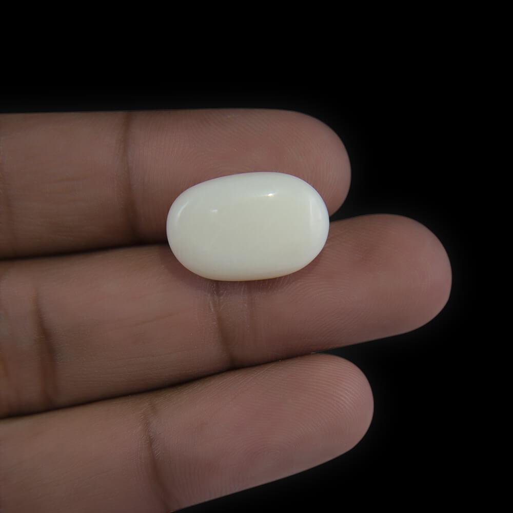 White Opal - 10.83 Carat