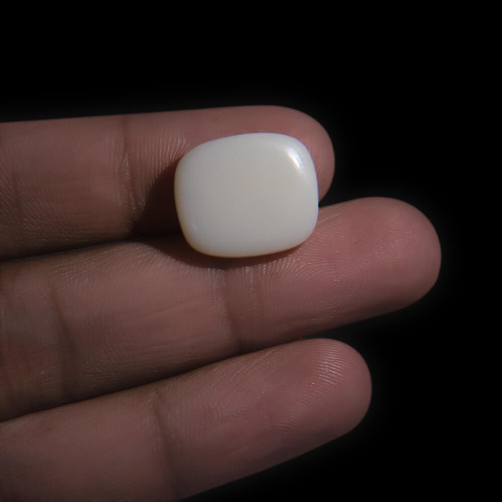 White Opal - 10.23 Carat