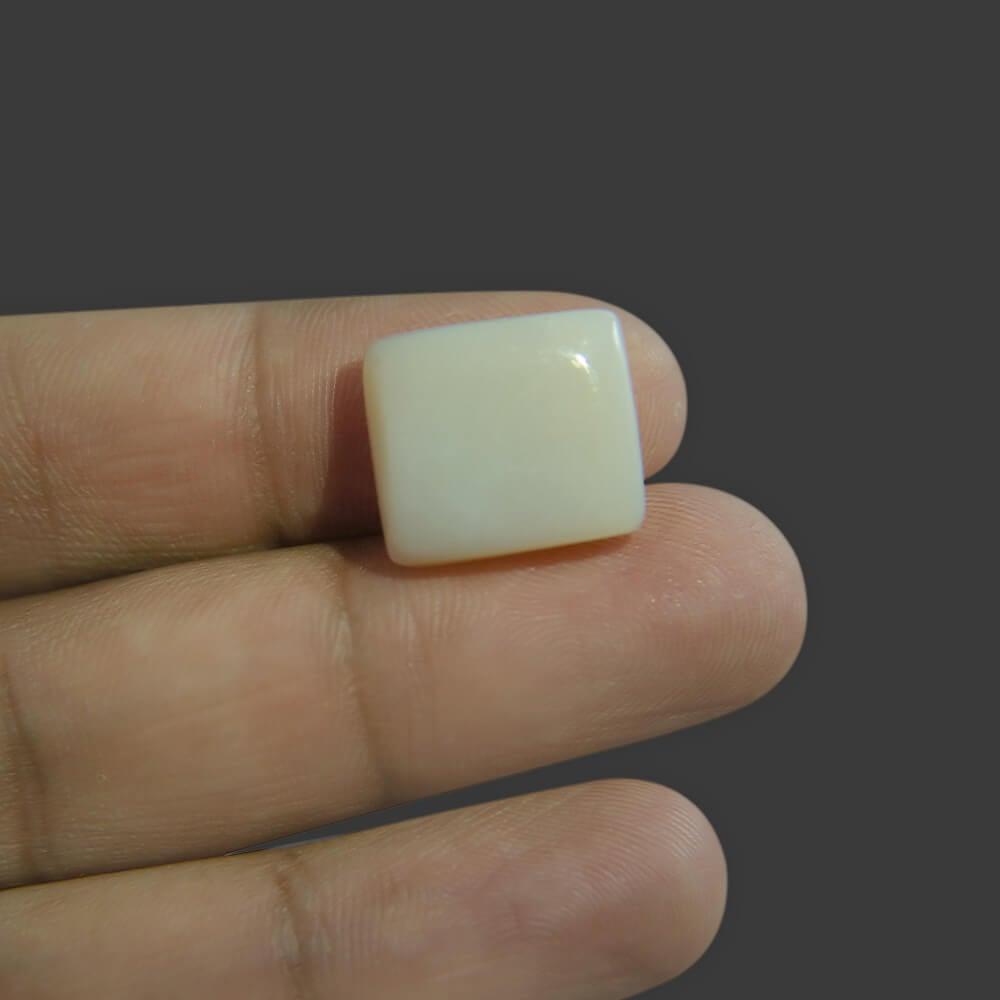 White Opal - 12.71 Carat