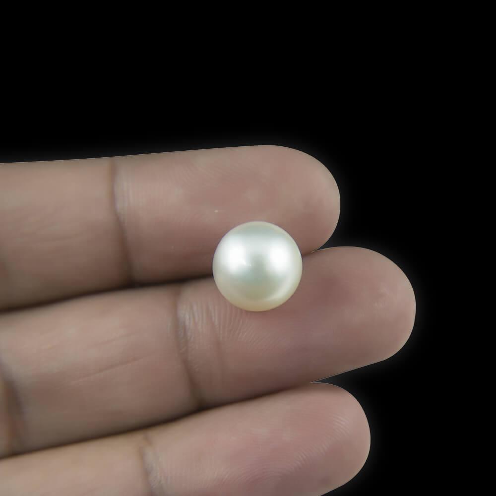 South Sea Pearl - 9.79 Carat