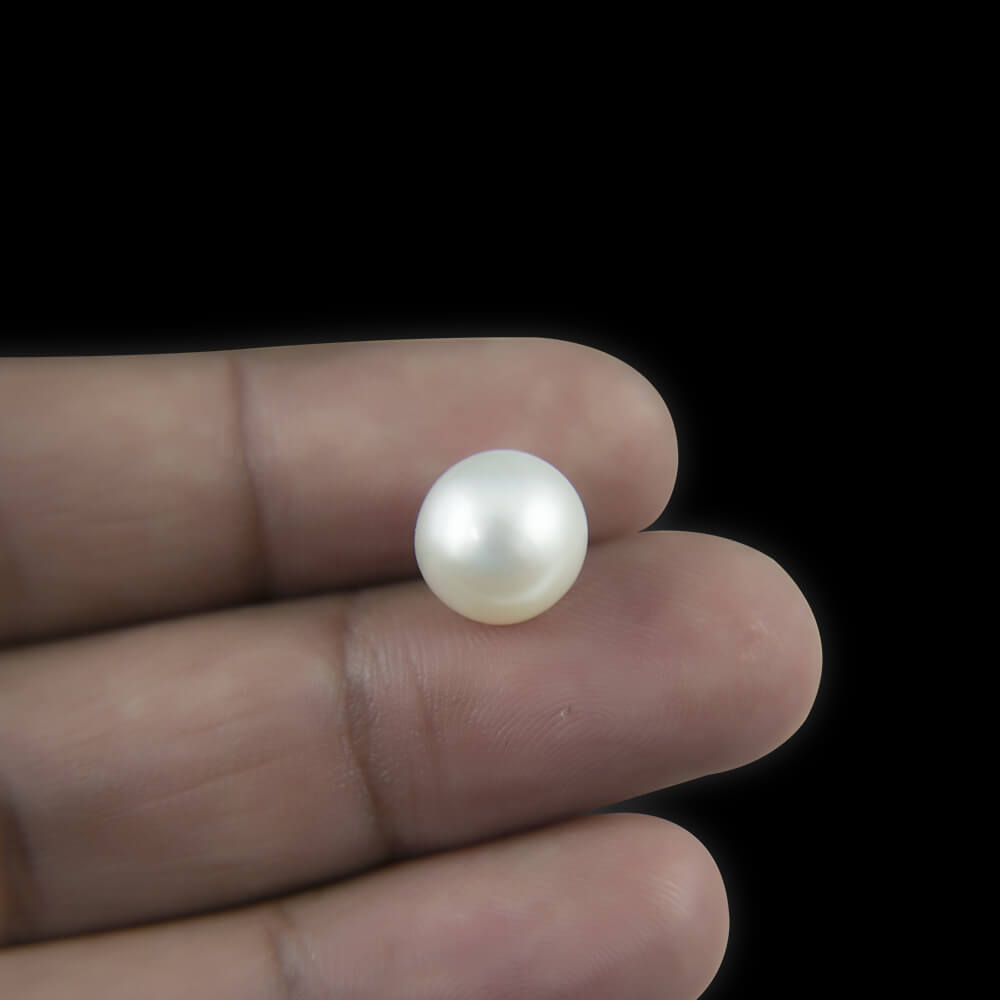 South Sea Pearl - 14.59 Carat