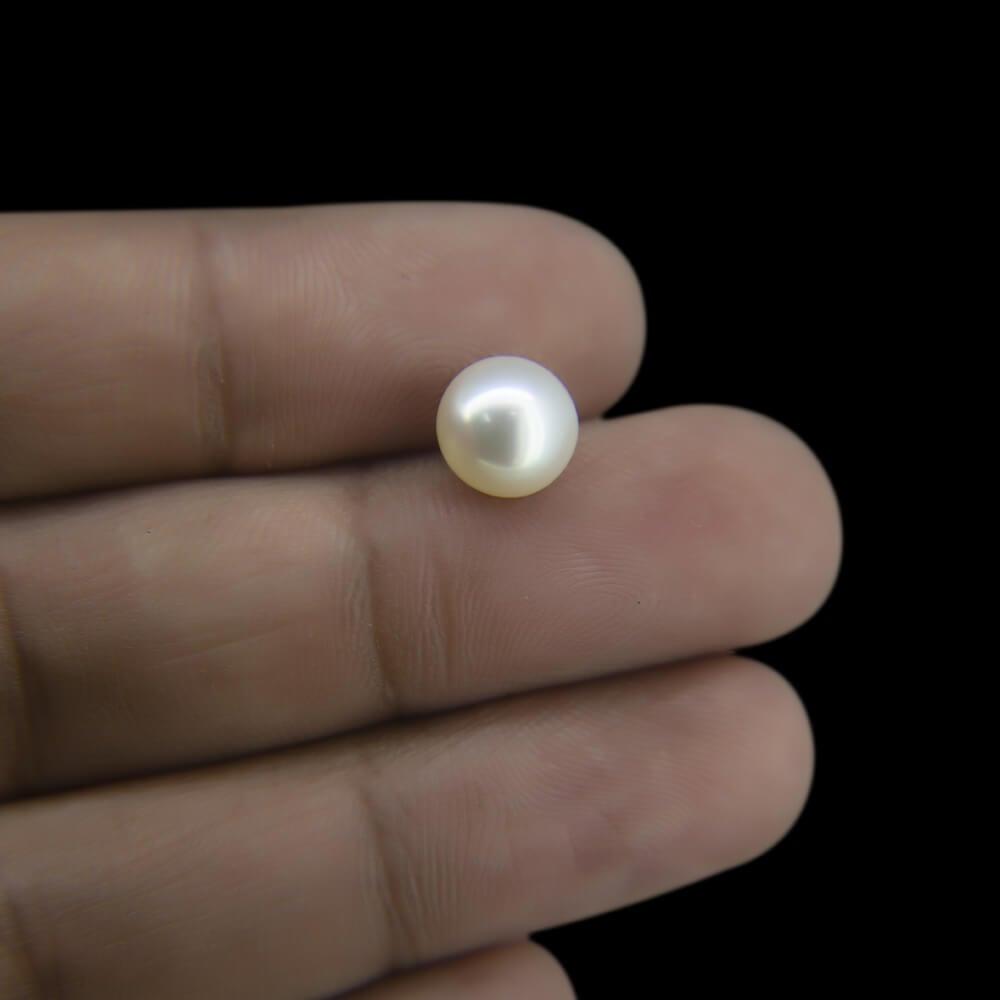 South Sea Pearl - 13.49 Carat