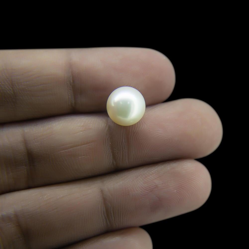 South Sea Pearl - 12.05 Carat