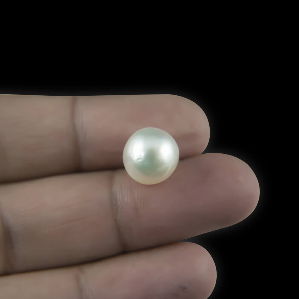 South Sea Pearl - 6.82 Carat