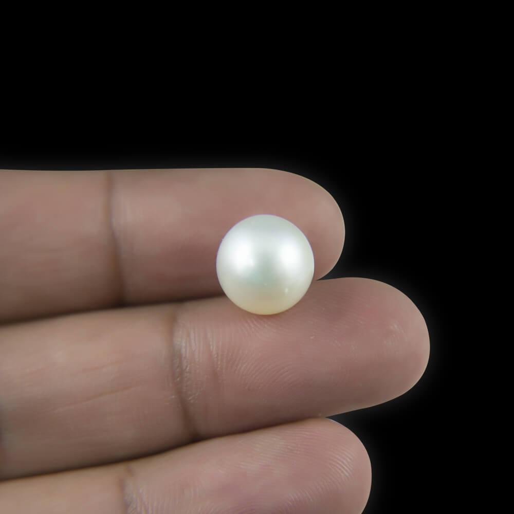 South Sea Pearl - 6.20 Carat