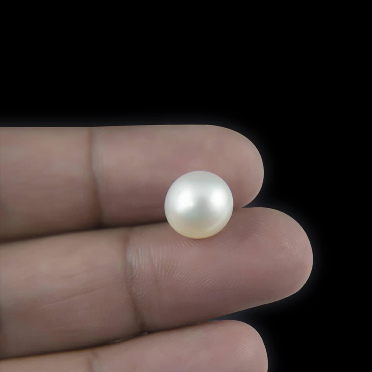 South Sea Pearl - 2.12 Carat