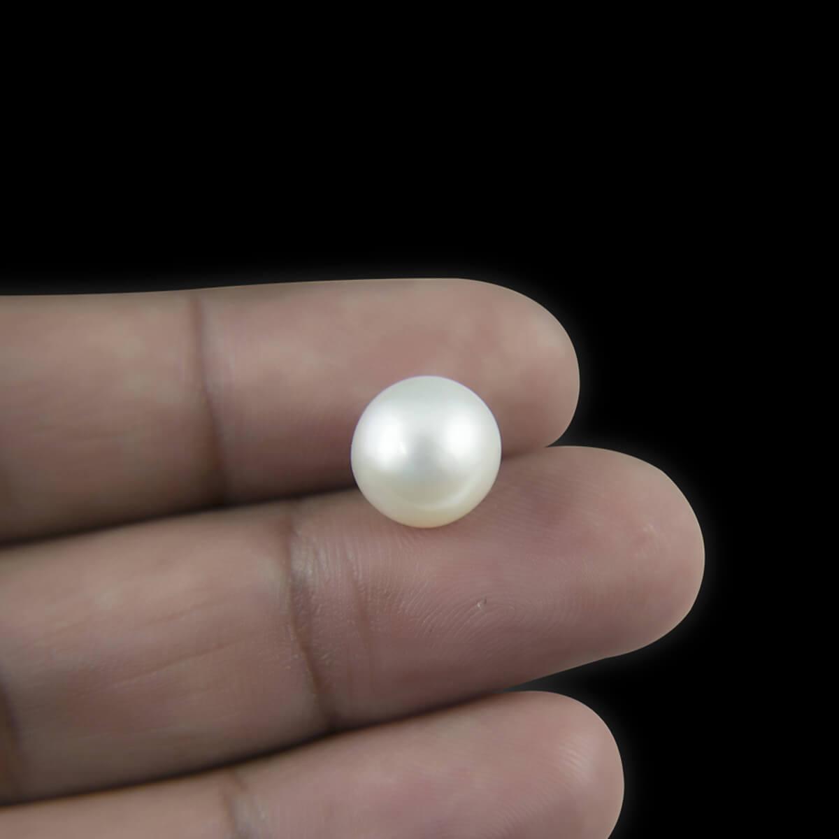 South Sea Pearl - 5.51 Carat