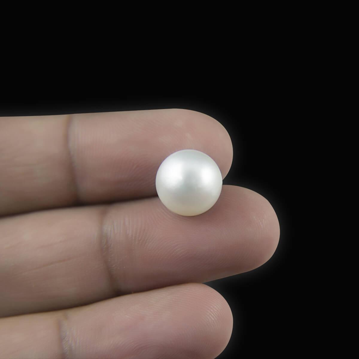South Sea Pearl - 10.53 Carat