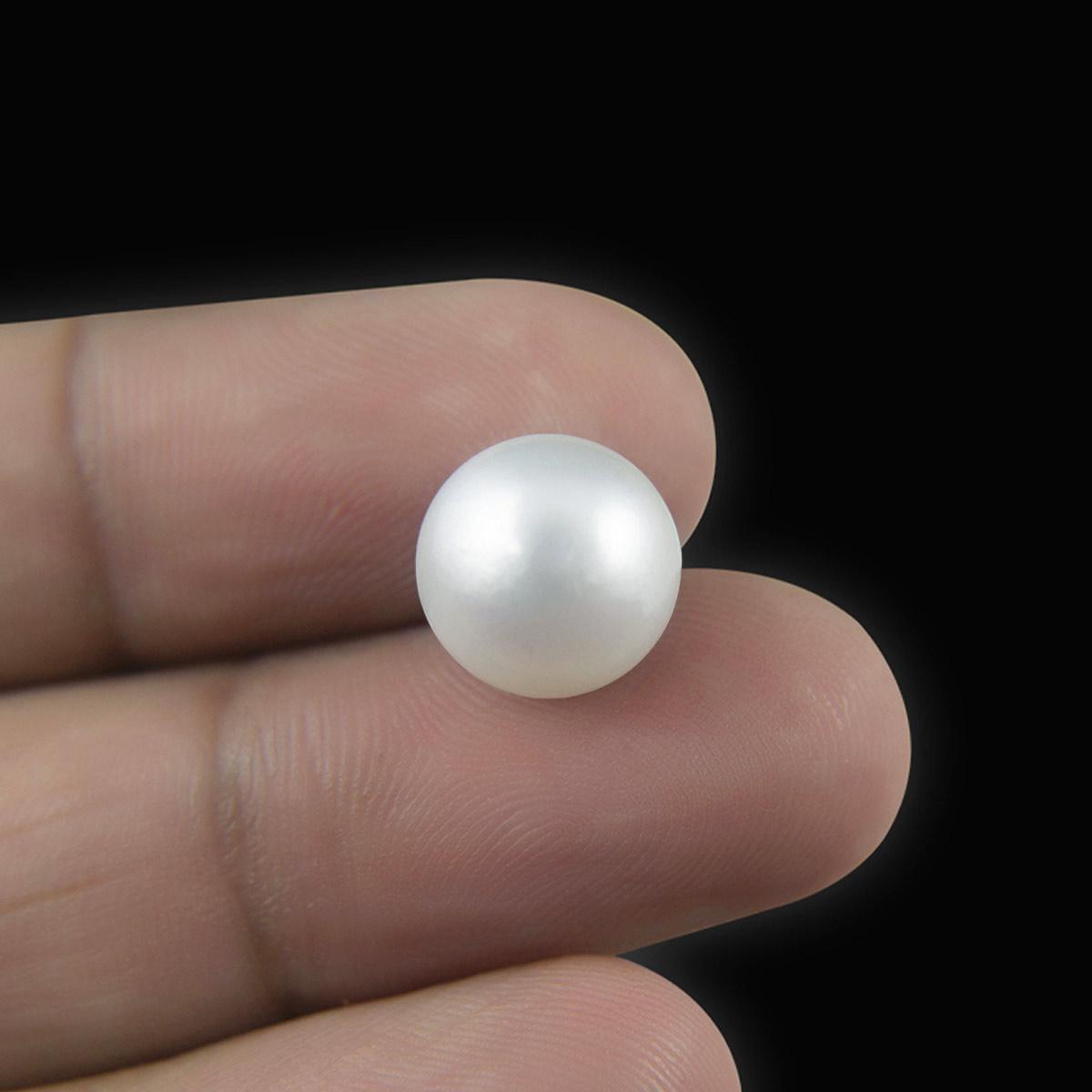 South Sea Pearl - 13.05 Carat
