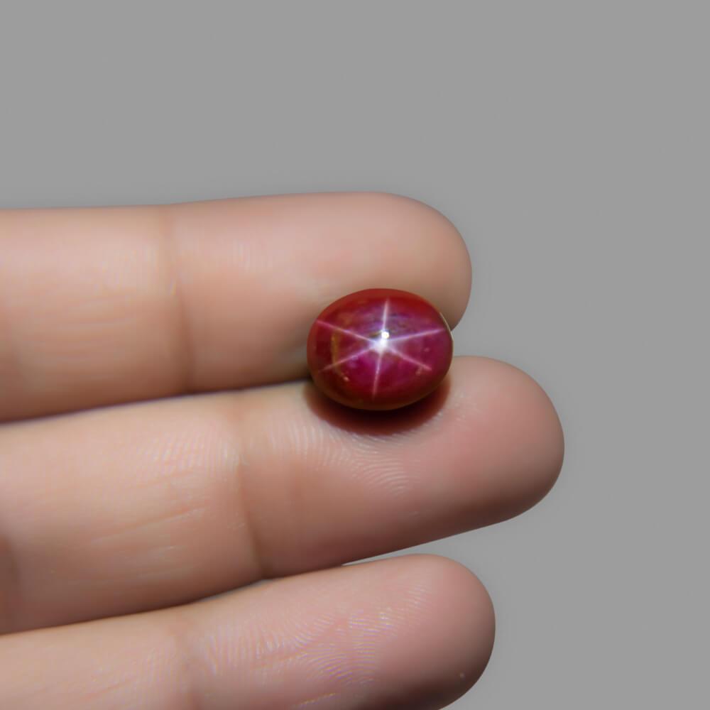 Star Ruby - 9.06 Carat