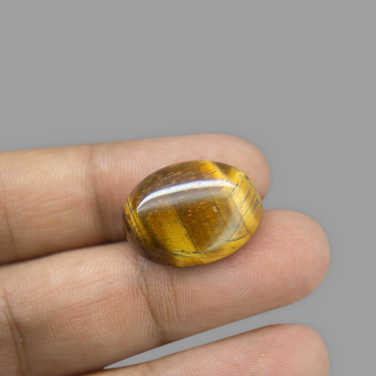 Tiger Eye - 15.44 Carat