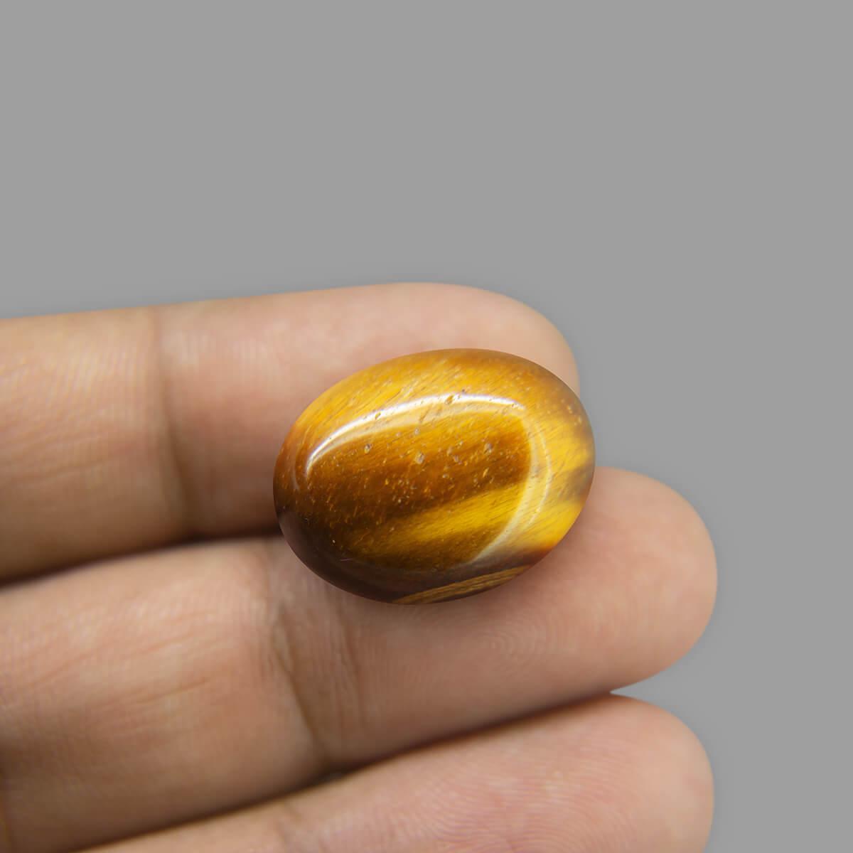 Tiger Eye - 17.56 Carat