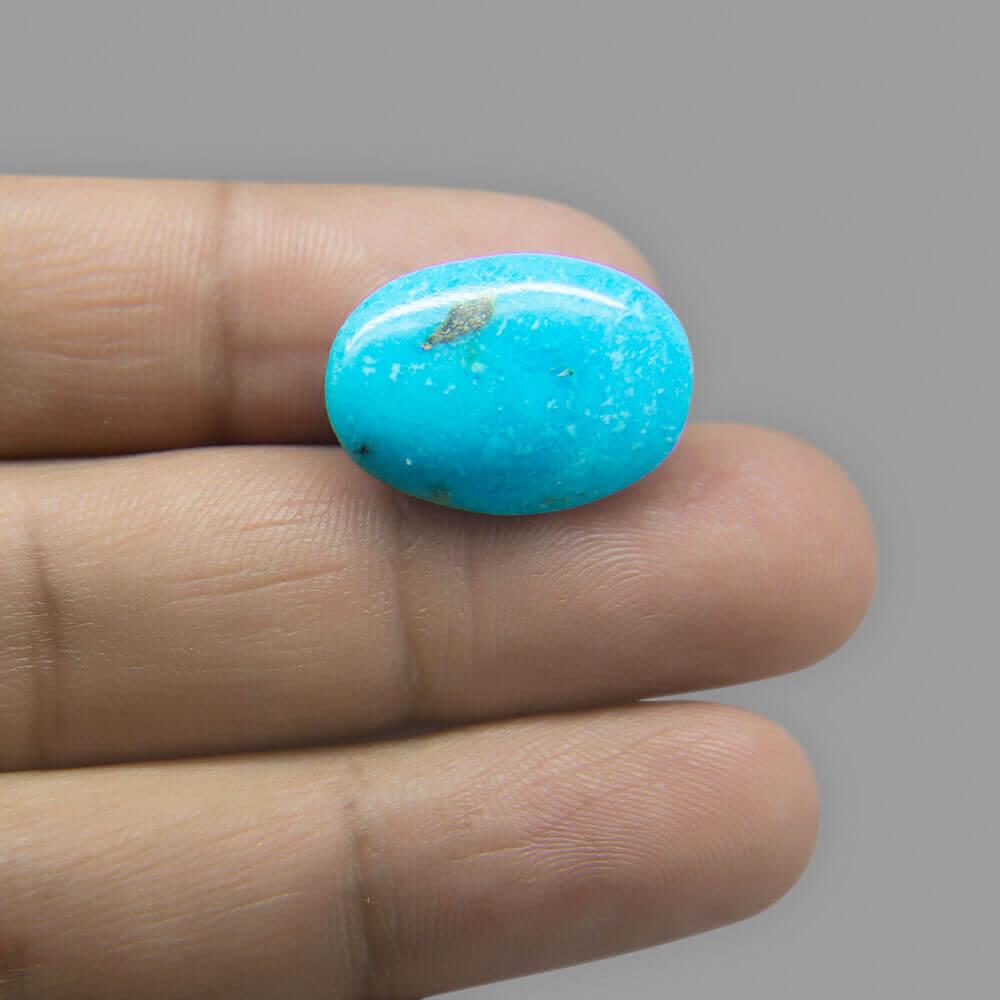 Turquoise - 16.65 Carat