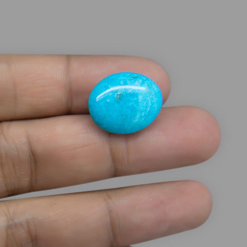Turquoise (Firoza) - 12.50 Carat