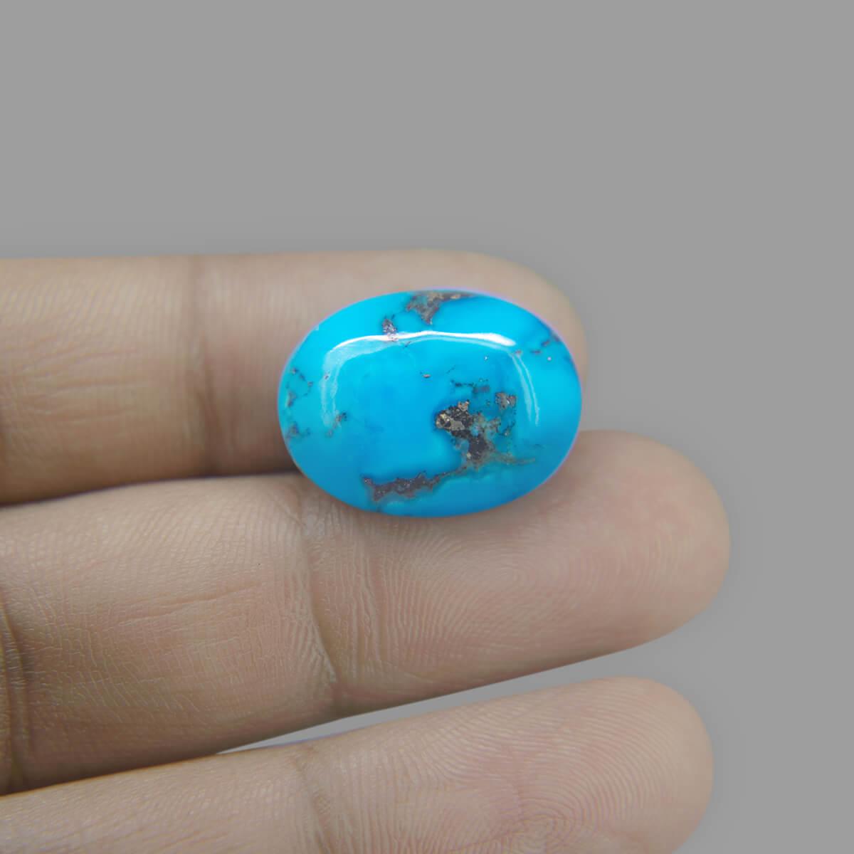 Turquoise (Firoza) - 16.75 Carat