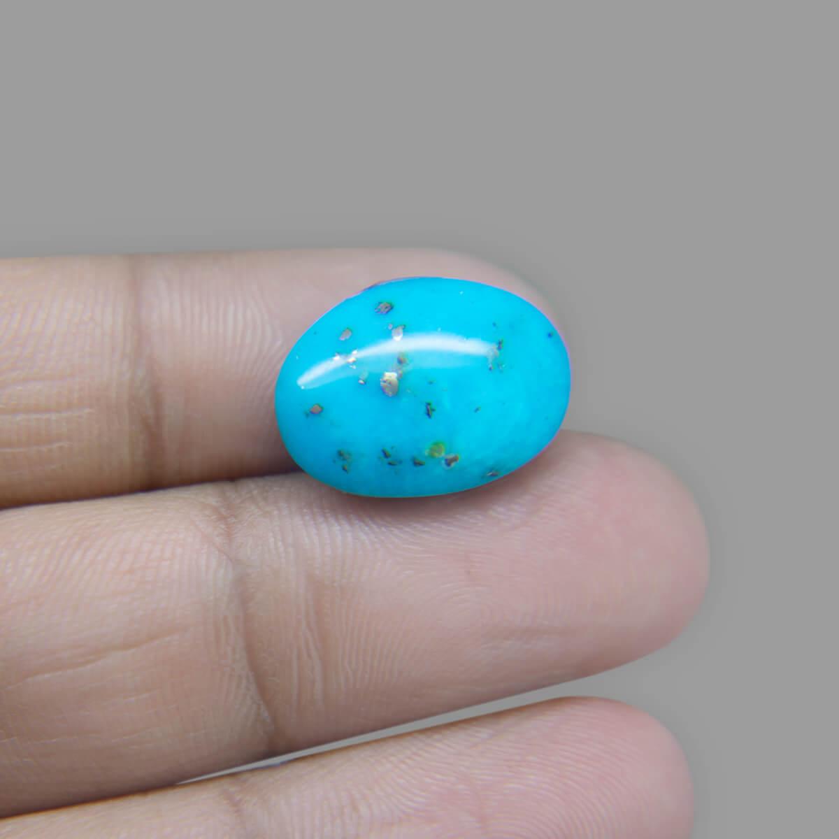 Turquoise (Firoza) - 10.53 Carat