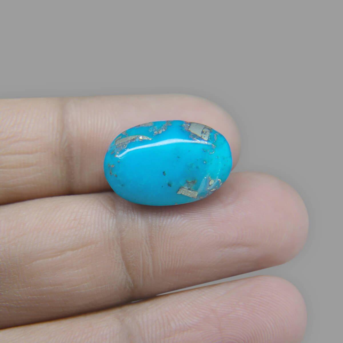 Turquoise (Firoza)  - 12.82 Carat