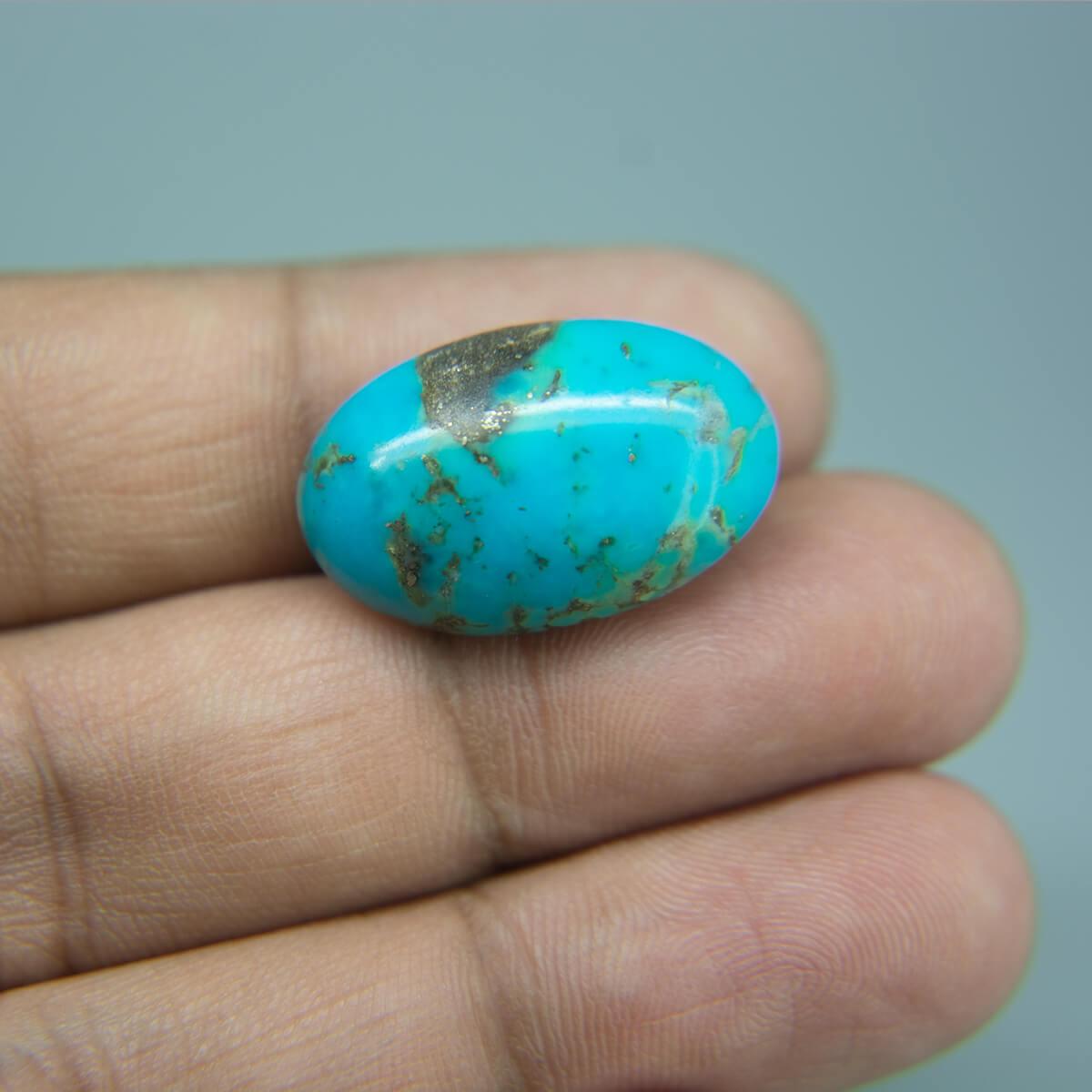 Turquoise (Firoza) - 17.91 Carat