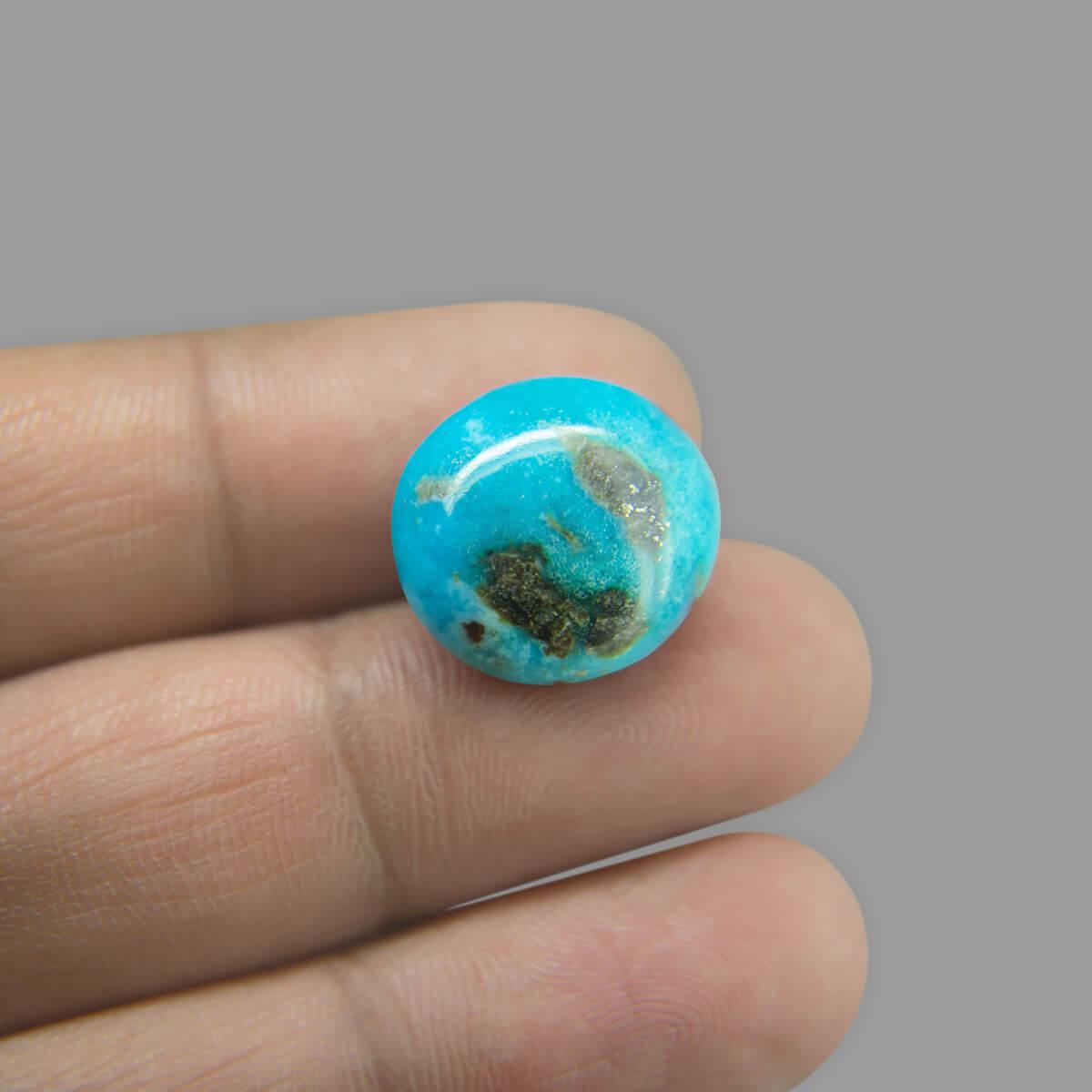 Turquoise (Firoza) - 16.69 Carat