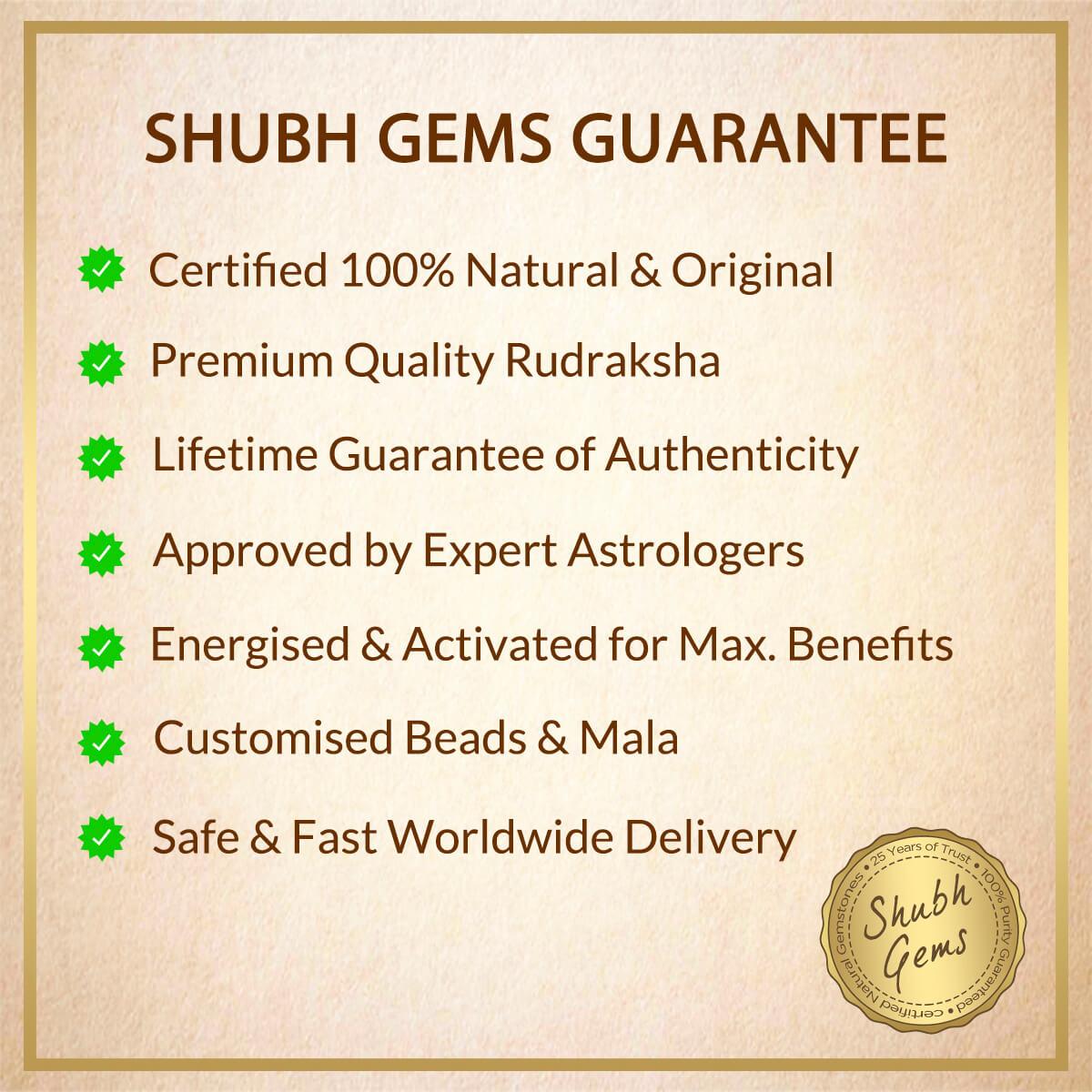 9 Mukhi Rudraksha Mala